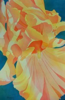 /album/mary-kosary/mary-kosary-sun-kissed-watercolor-13-x-20-jpg1/